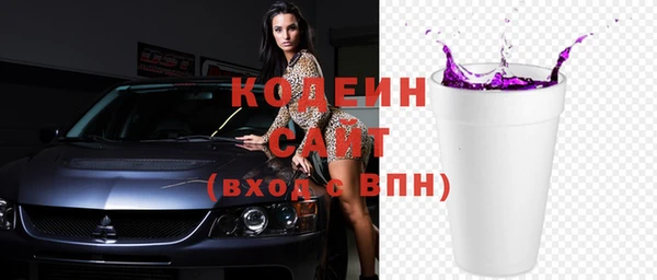 apvp Иннополис