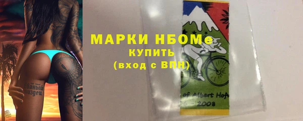 apvp Иннополис