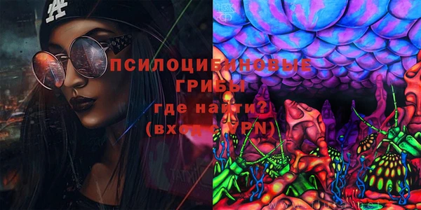 ALPHA-PVP Инсар