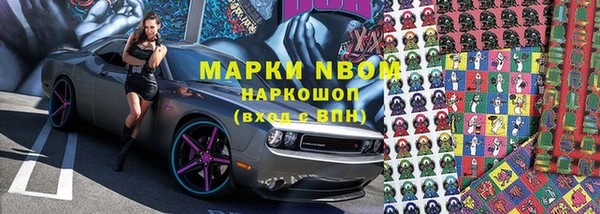 apvp Иннополис