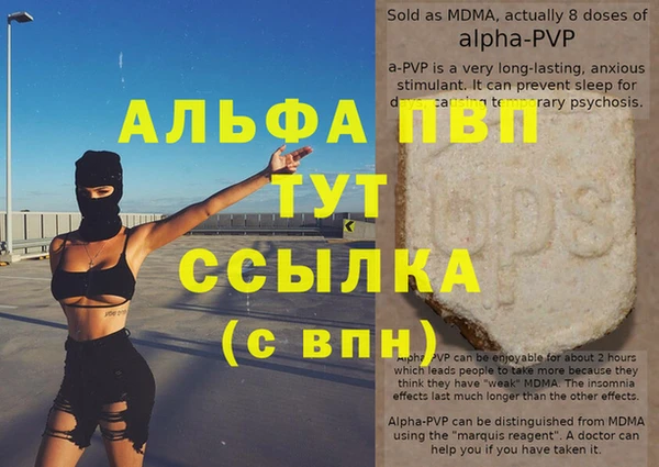 apvp Иннополис