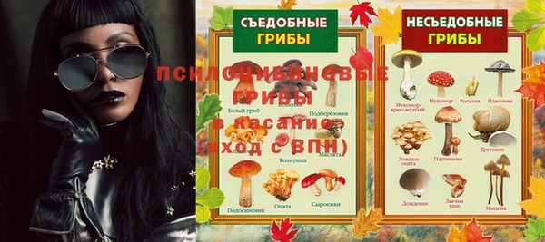 ALPHA-PVP Инсар
