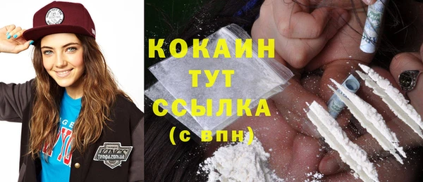 ALPHA-PVP Инсар