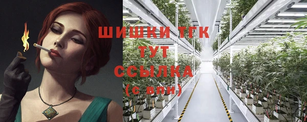 apvp Иннополис