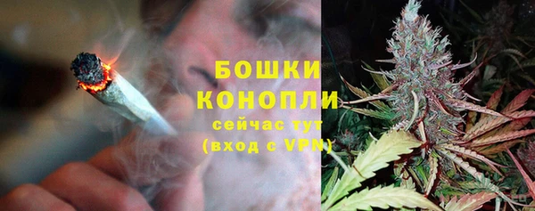 apvp Иннополис
