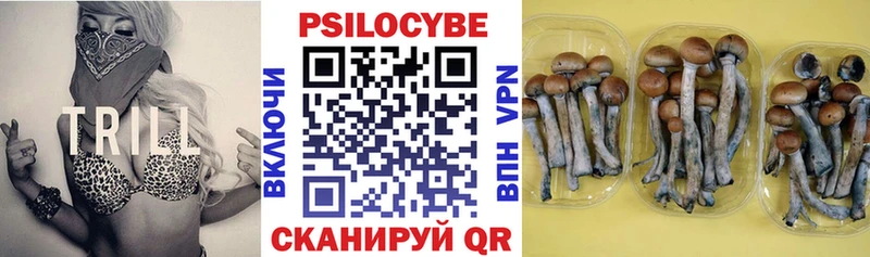 omg как зайти  это как зайти  Галлюциногенные грибы Psilocybe  как найти   Учалы 